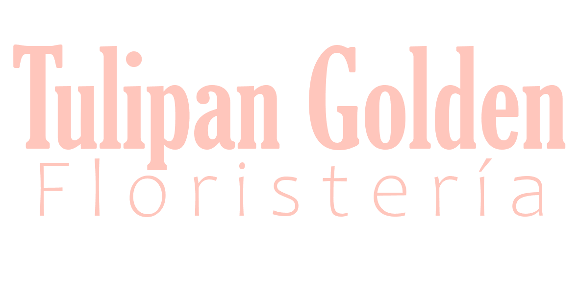 Tulipán Golden Floristería