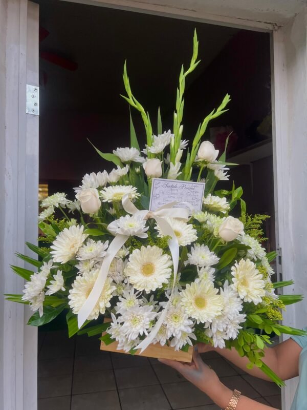 Condolencia 3