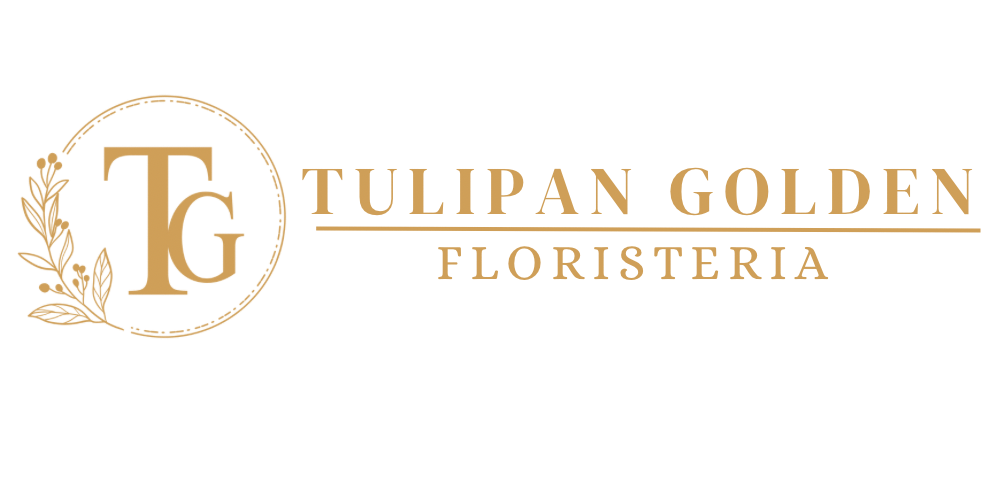 Tulipan Golden